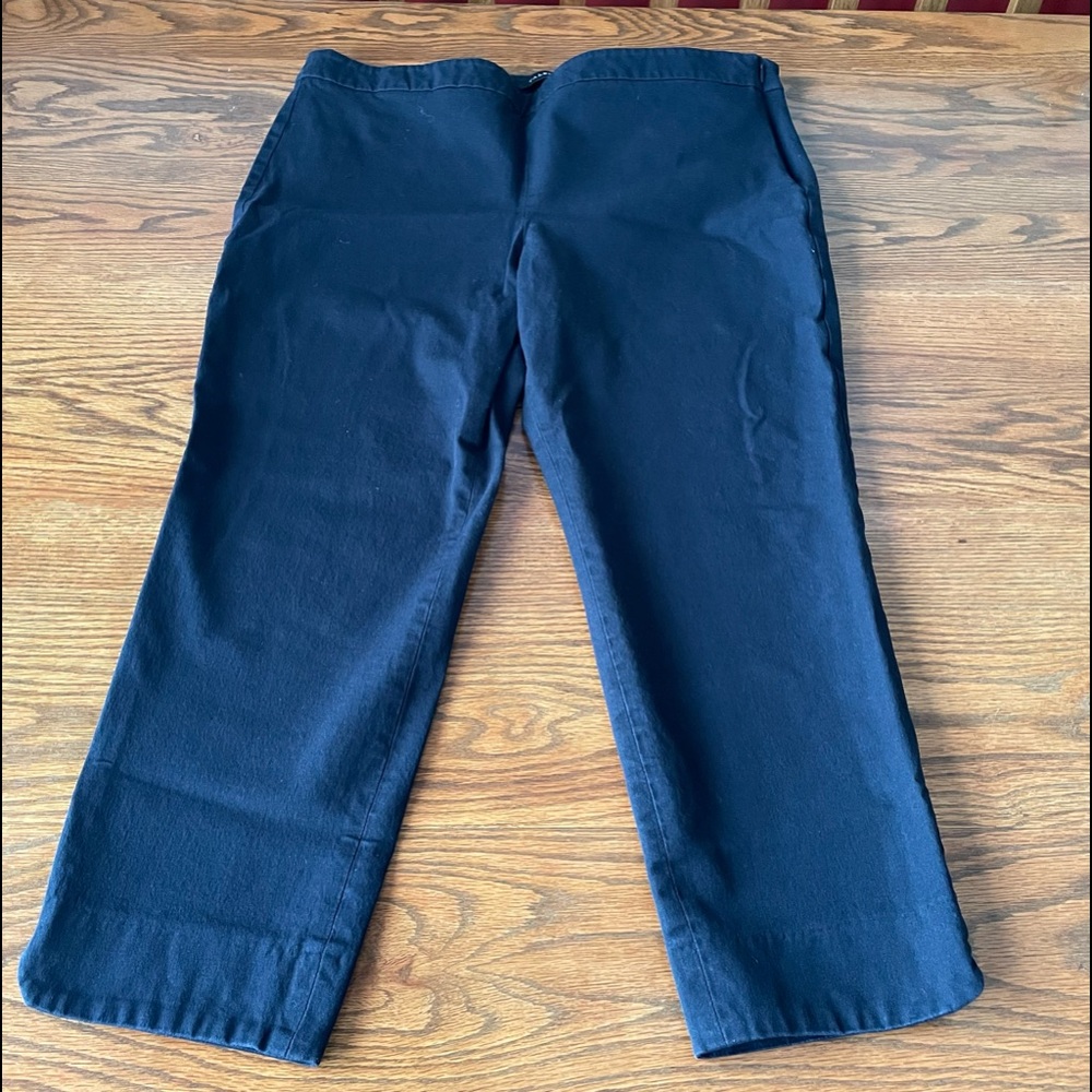 Talbots Chatham pants